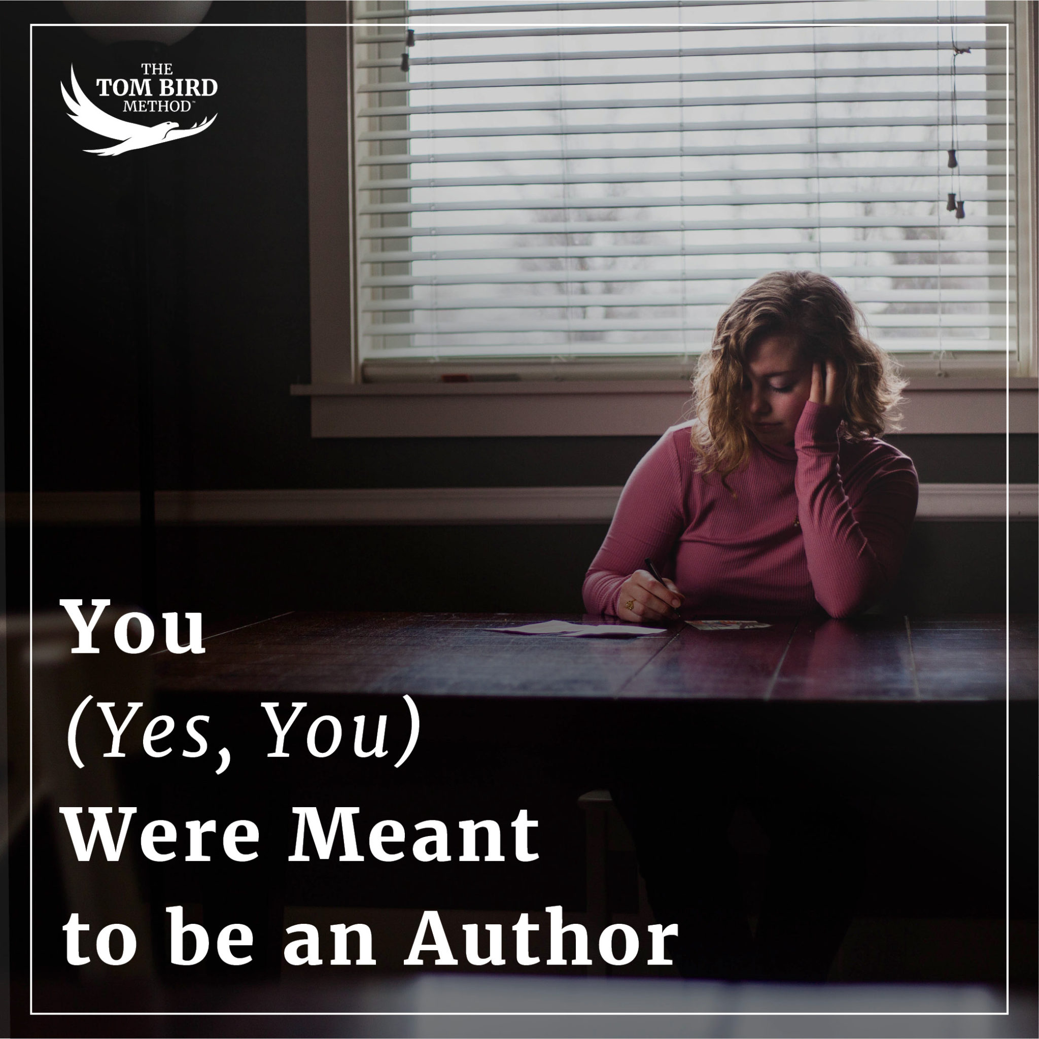 You Were Meant to be an Author - Tom Bird